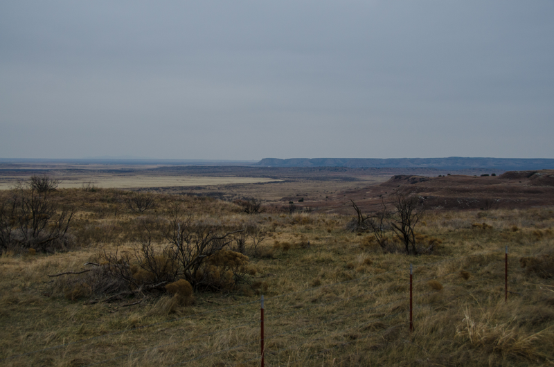 Middle of nowhere (Photo by Taylor)